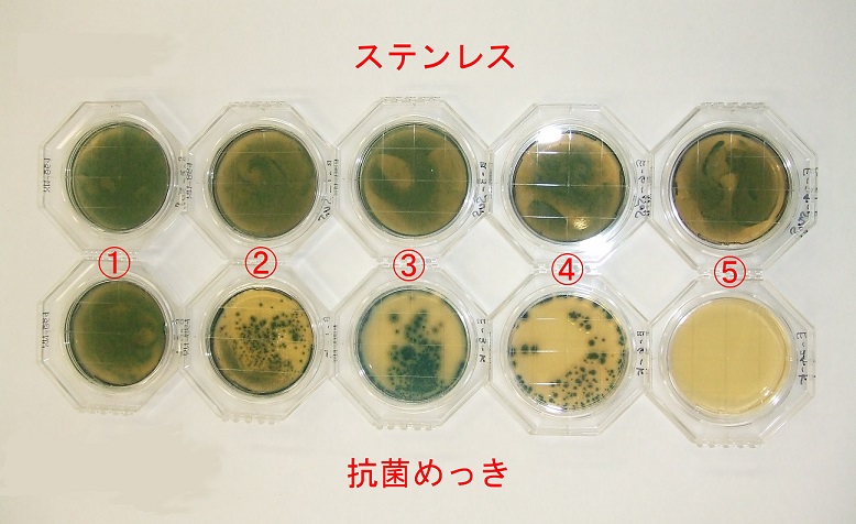 大腸菌経時