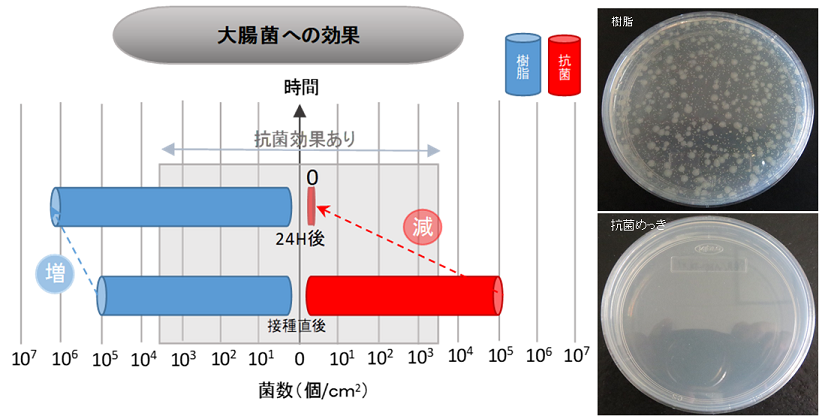 抗菌めっき効果確認試験(大腸菌)