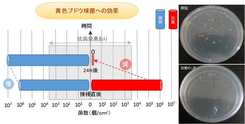 抗菌めっき効果確認試験(黄色ブドウ球菌)